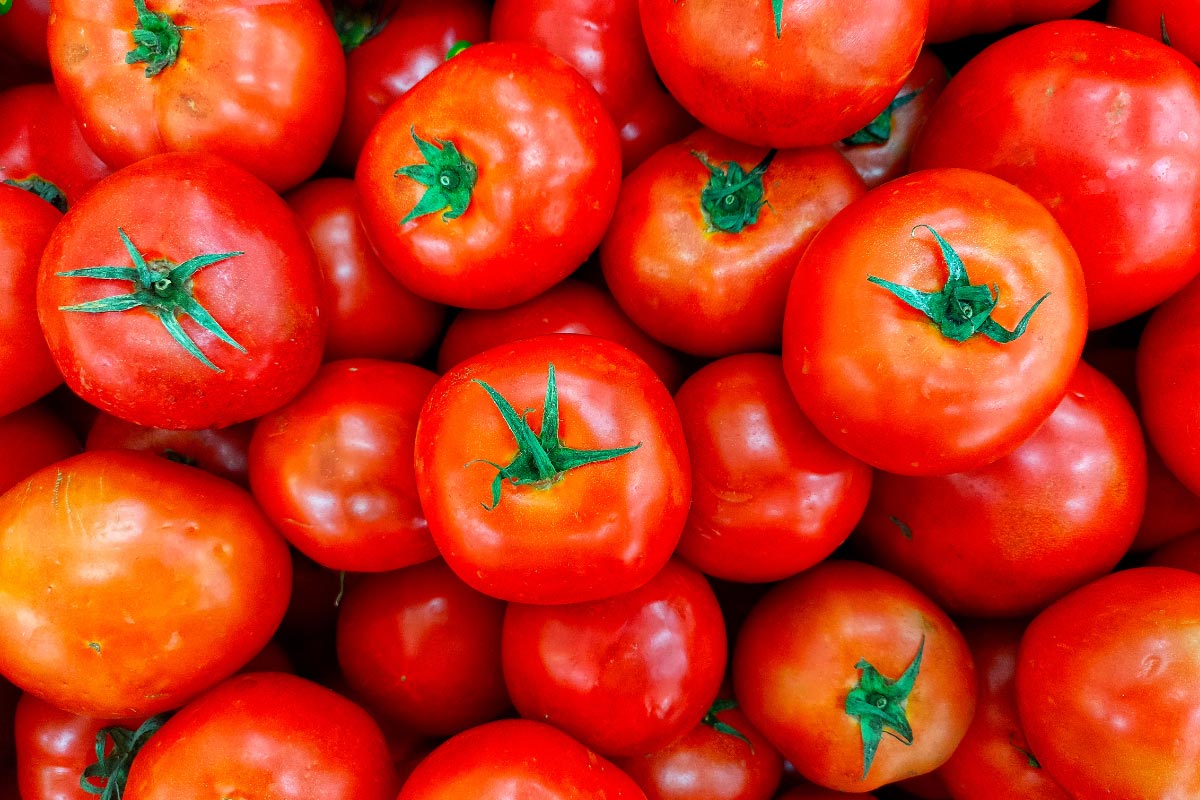 What You Need to Know about Traceability Lot Codes New Era Partners