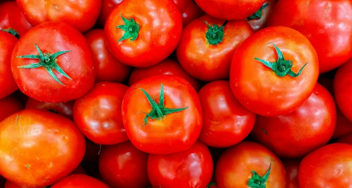 What You Need to Know about Traceability Lot Codes